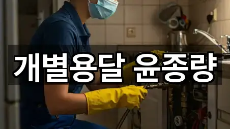 서울특별시 금호동3가 이사 5곳 주소 리스트