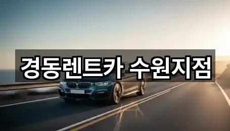 장안구 송죽동 렌트카 5곳 지도 체크