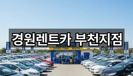 5곳 경기 부천시 원미구 원미동 렌트카 연락처 확인