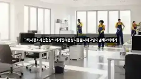 고독사청소사건현장쓰레기집유품정리동물사체고양이냄새악취제거