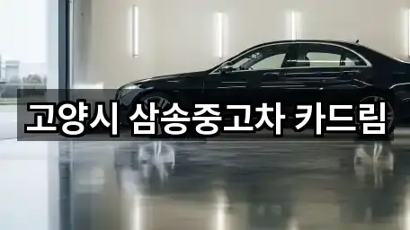 주소 브리핑: 경기 삼송동 중고차 5곳