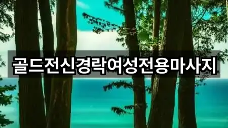 골드전신경락여성전용마사지