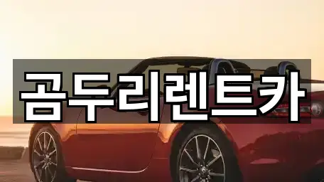 거제 연초면 렌트카 5곳 위치 아카이브