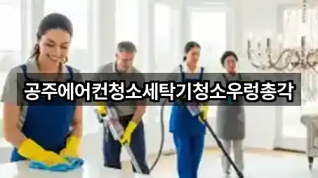 충청남도 공주 금흥동 청소 지도 체크 4곳