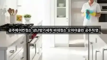 공주에어컨청소 냉난방기세척 비데청소 오마이클린 공주직영