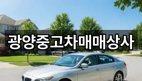 동금동 중고차 5곳 주변 보기