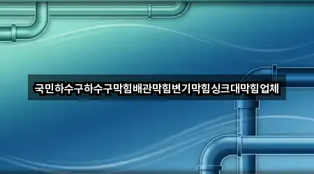 국민하수구하수구막힘배관막힘변기막힘싱크대막힘업체