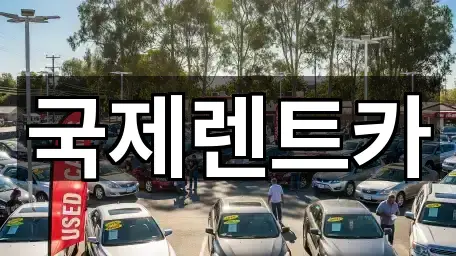 대구 지산동 장기렌트카 실시간 영업 1곳