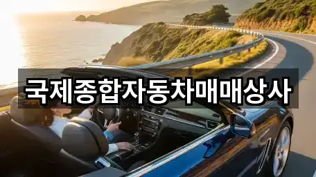 국제종합자동차매매상사