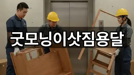 전라남도 진도군 이사 5곳 인근 지도