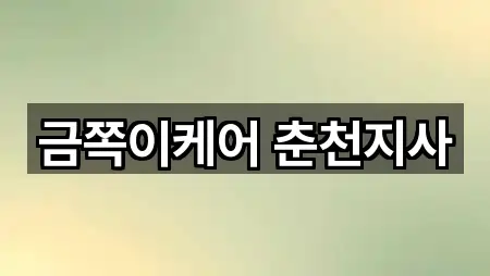 금쪽이케어 춘천지사