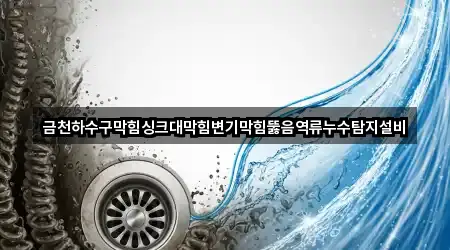 금천하수구막힘싱크대막힘변기막힘뚫음역류누수탐지설비