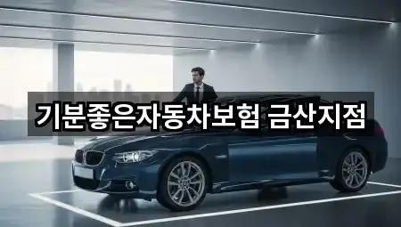 기분좋은자동차보험 금산지점