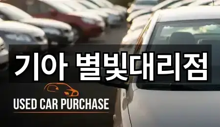 영천 조교동 자동차전시장 조건별 보기 1곳