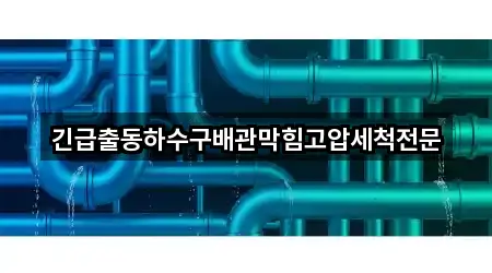 경기 과천 막계동 배관막힘 · 최근 4곳