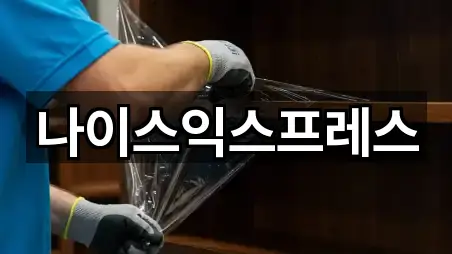 나이스익스프레스