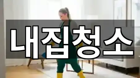 내집청소