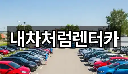 대구 논공읍 렌트카 5곳 주소 검색