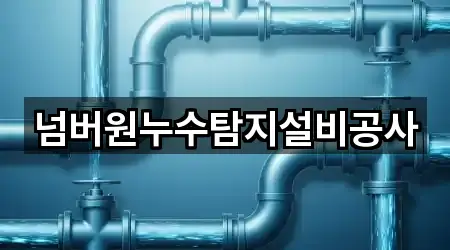 [주소] 세종 보람동 누수탐지 5곳