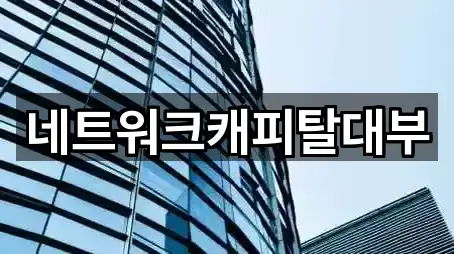 네트워크캐피탈대부