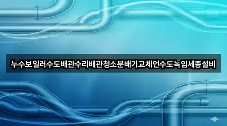 누수보일러수도배관수리배관청소분배기교체언수도녹임세종설비