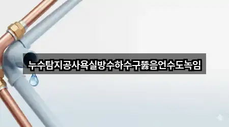 누수탐지공사욕실방수하수구뚫음언수도녹임