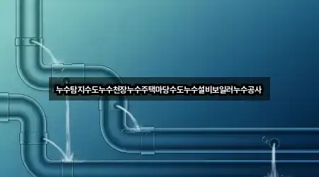누수탐지수도누수천장누수주택마당수도누수설비보일러누수공사