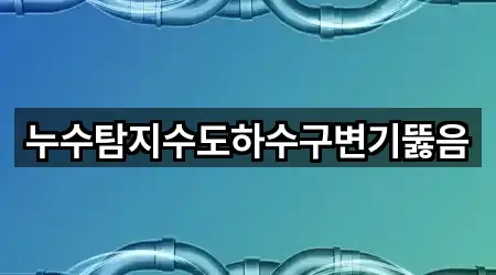 누수탐지수도하수구변기뚫음