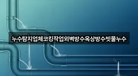 누수탐지업체코킹작업외벽방수옥상방수빗물누수