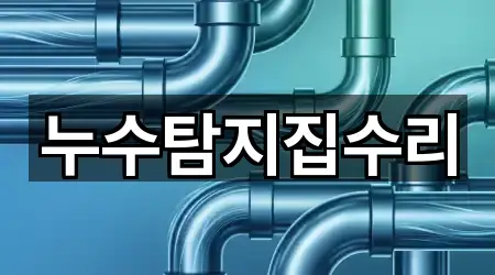 누수탐지집수리