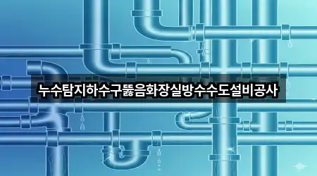 누수탐지하수구뚫음화장실방수수도설비공사