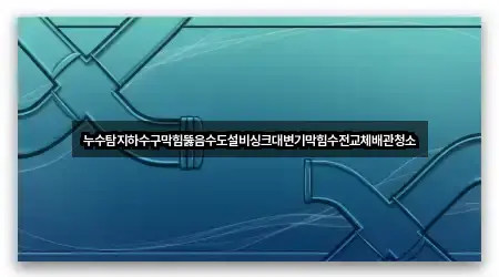 누수탐지하수구막힘뚫음수도설비싱크대변기막힘수전교체배관청소