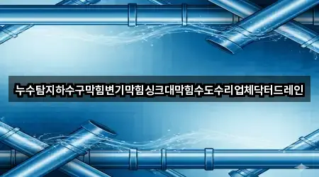 누수탐지하수구막힘변기막힘싱크대막힘수도수리업체닥터드레인