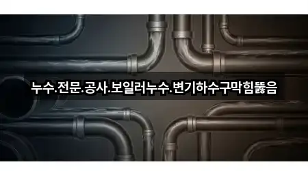 누수.전문.공사.보일러누수.변기하수구막힘뚫음