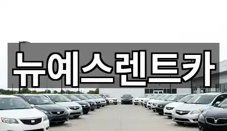 대구 상덕동 렌트카 전체 보기 3곳