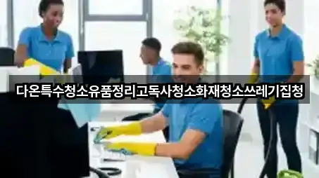 다온특수청소유품정리고독사청소화재청소쓰레기집청