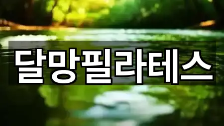 경남 신흥동 필라테스 5곳 위치 모음