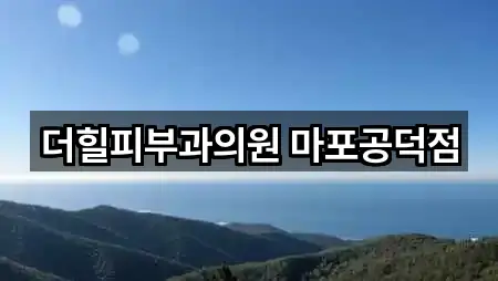 더힐피부과의원 마포공덕점