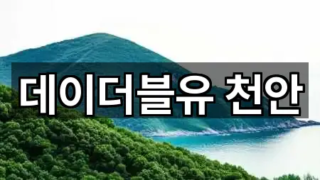 충남 천안시 동남구 성황동 드레스샵 3곳 주소 전체 보기