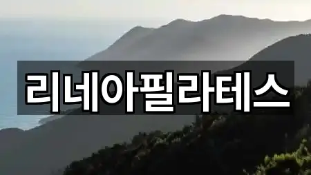 리네아필라테스