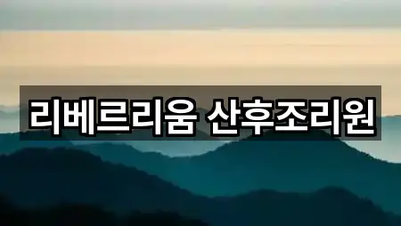 경기도 화성 반정동 산후조리원 1곳 주소 전체 보기