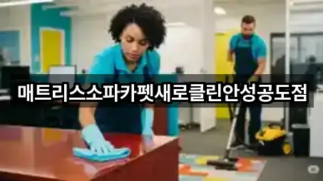 매트리스소파카펫새로클린안성공도점