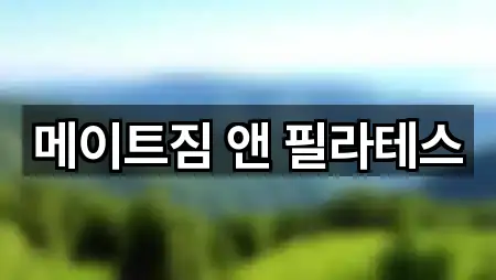 메이트짐 앤 필라테스