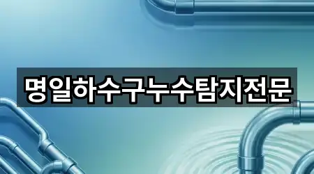 용인 처인구 남사읍 누수탐지 상담 가능 5곳