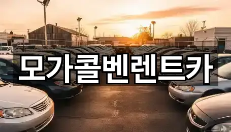 모가콜벤렌트카