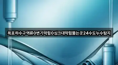 목포하수구역류0변기막힘0싱크대막힘뚫는곳24수도누수탐지