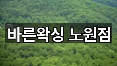 바른왁싱 노원점