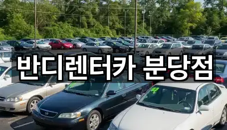 성남시 금곡동 렌트카 문의 많은 5곳