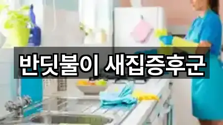 반딧불이 새집증후군