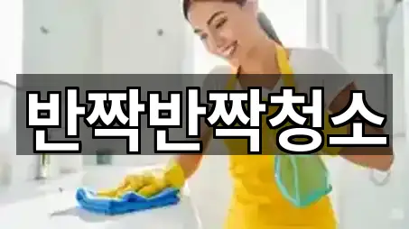 성남시 상적동 청소업체 5곳 가까운 지도